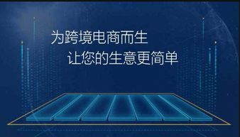亞馬遜無(wú)貨源erp開(kāi)發(fā)貼牌定制個(gè)性化定制亞馬遜無(wú)貨源線上下培訓(xùn)