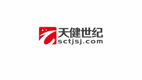 定制軟件開發 四川天健世紀科技